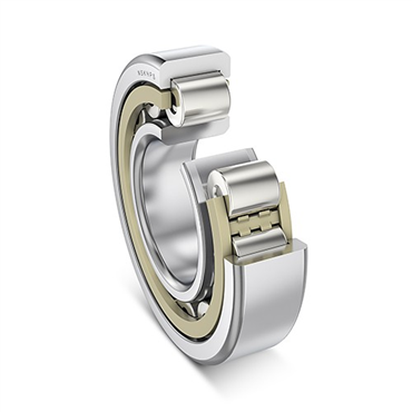 300 Series Cylindrical Roller Bearing